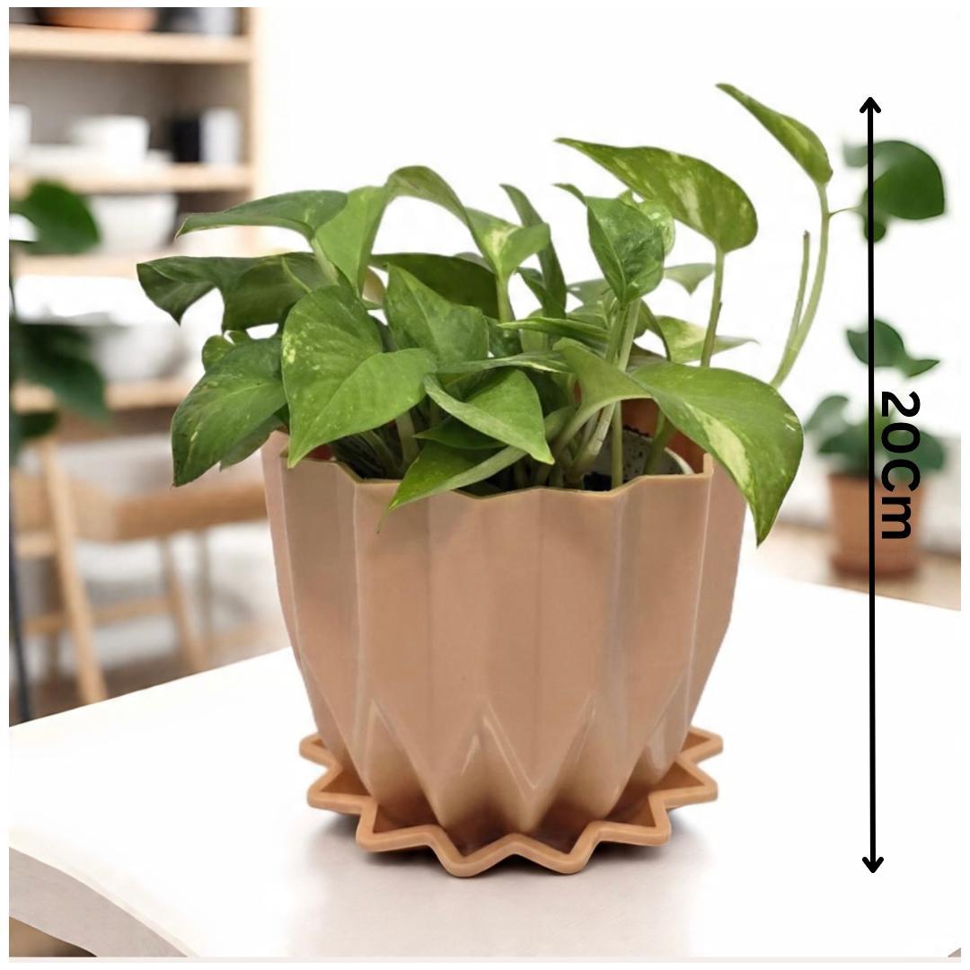 Golden   Money   Plant   Indoor   with   Self-Watering   Flower   Pot