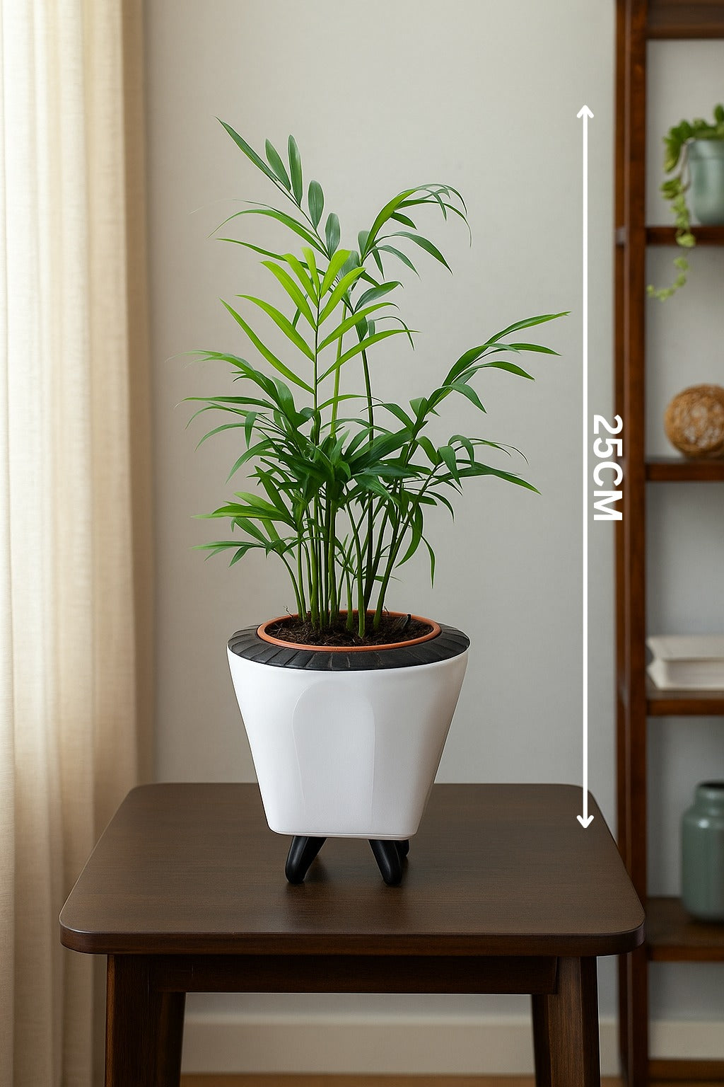 Troof Areca   Palm   Air   Purifier   Live   Plant   with   Self-Watering   Decorative   Pot