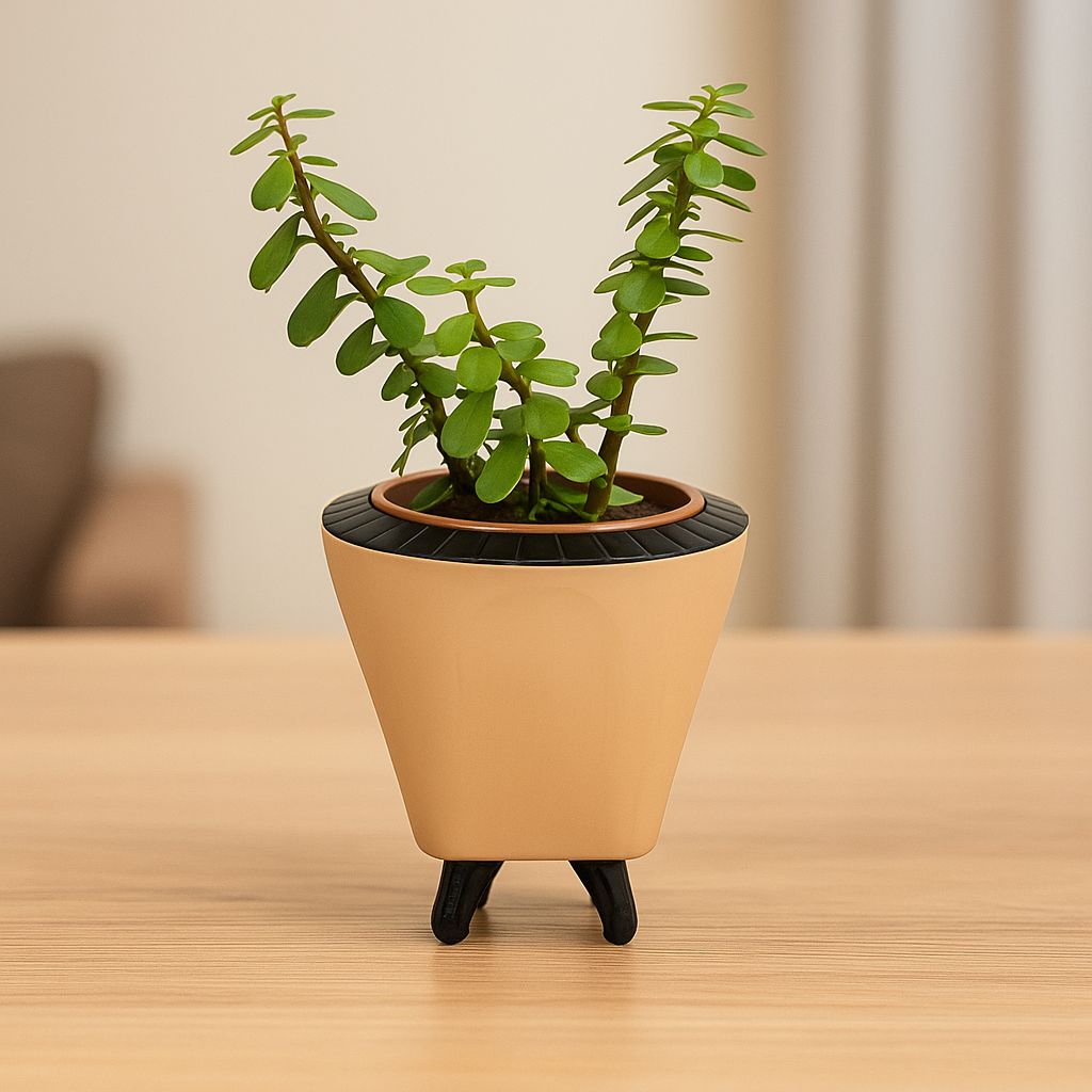 Troof  Good   Luck   Jade   Plant   with   Self-Watering   Decorative   Pot