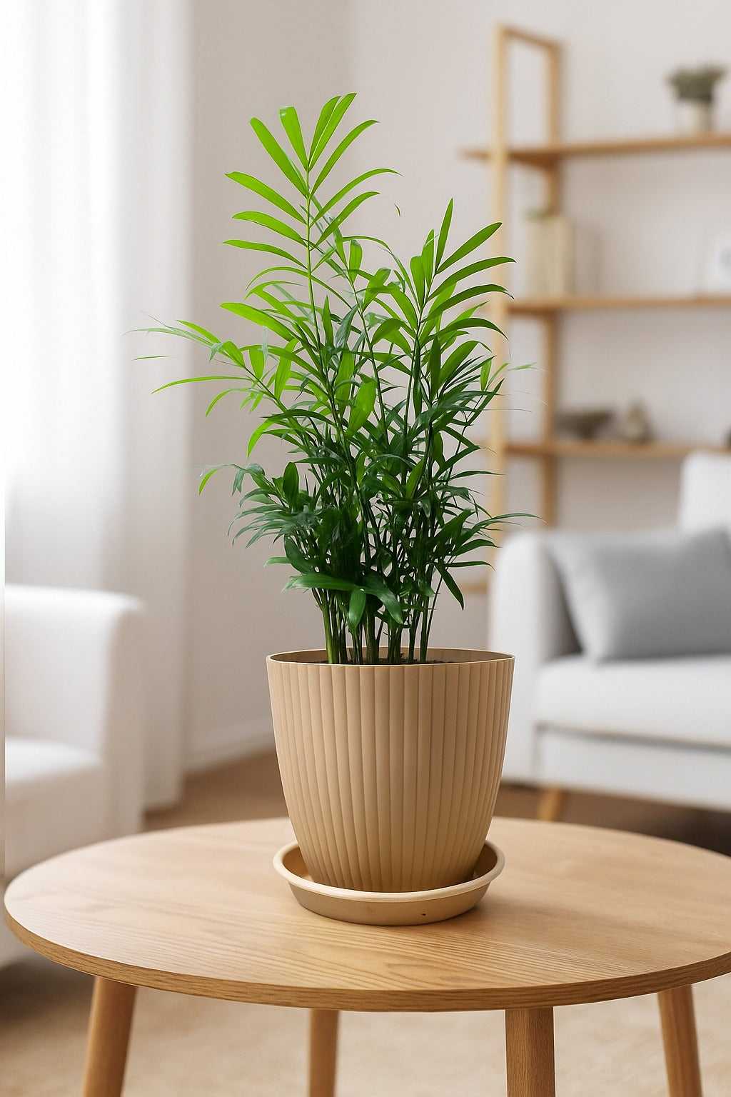 Troof Areca   Palm   Air   Purifier   Live   Plant   with   Self-Watering   Rainbow   Pot