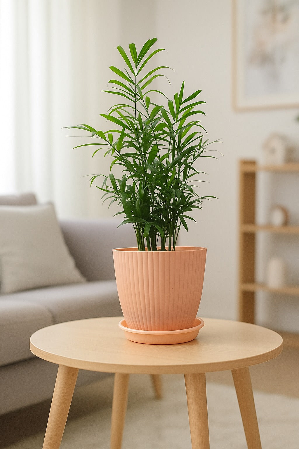 Troof Areca   Palm   Air   Purifier   Live   Plant   with   Self-Watering   Rainbow   Pot