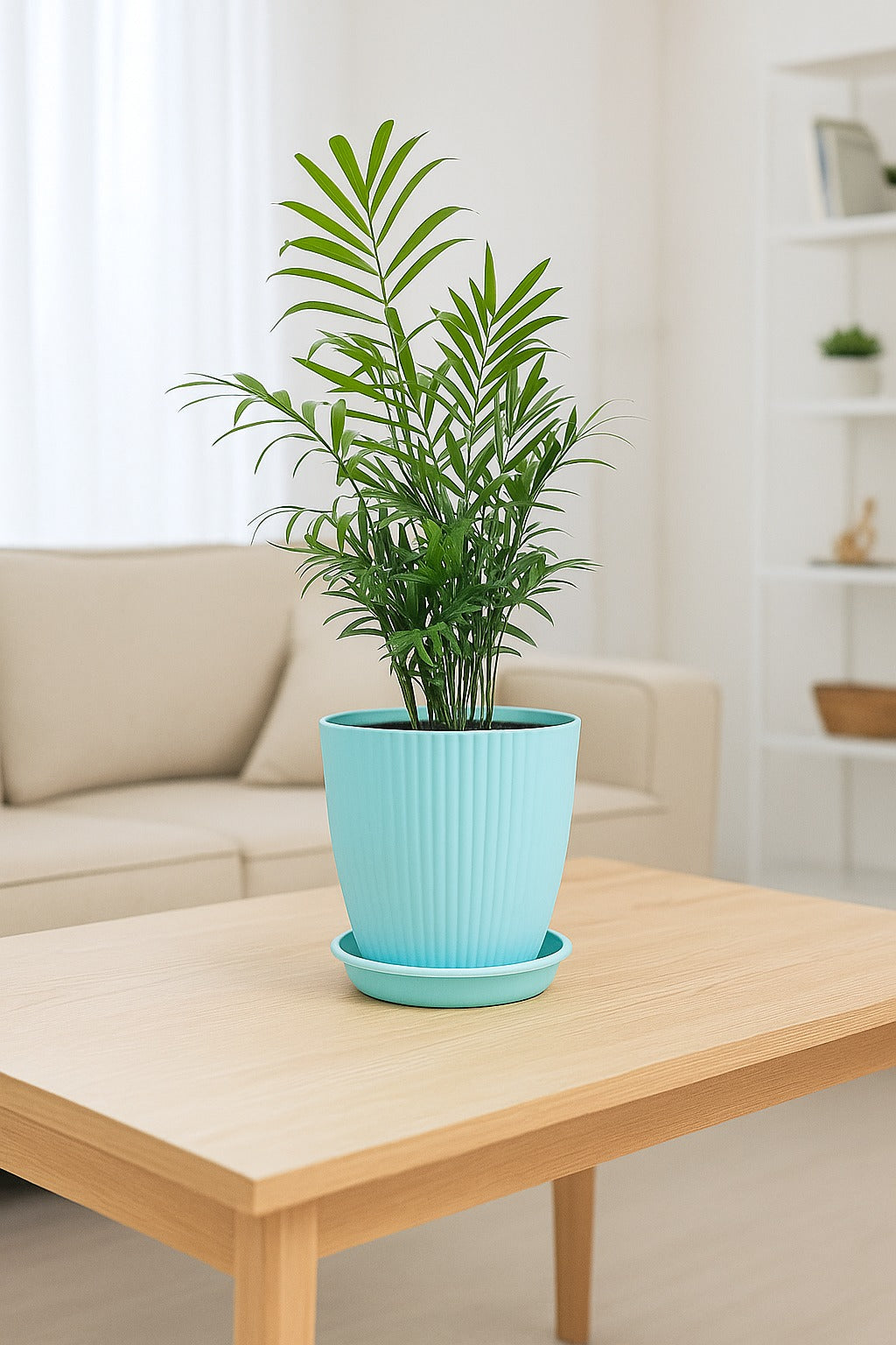 Troof Areca   Palm   Air   Purifier   Live   Plant   with   Self-Watering   Rainbow   Pot